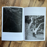 2021 Pandemic OPEN CALL